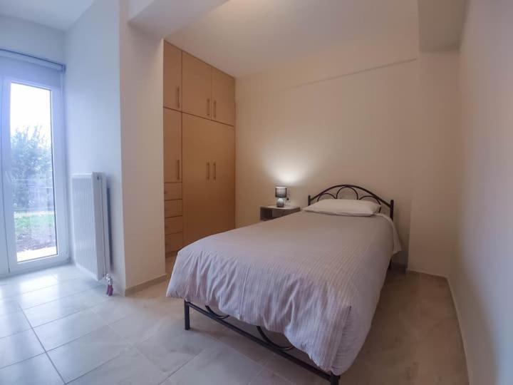 Cozy Modern Apartment Ioannina Luaran gambar